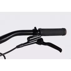 Велосипед AL 29" Formula ZEPHYR 1.0 HDD рама-21" темно-сріблястий з зеленим 2026