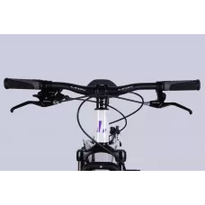 Велосипед AL 24" Leon JUNIOR DD CS рама-12" білий з бузковим 2025