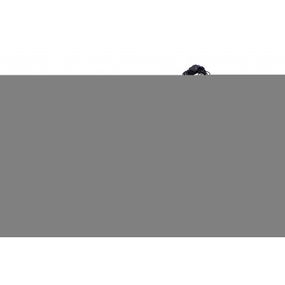 Велосипед AL 26" SPACE MERCURY DD FR рама-13" чорно-червоний 2026