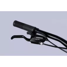 Велосипед AL 29" SPACE PHAETON DD FR рама-20" сріблясто-червоний 2025