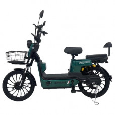 Велосипед з електромотором SPARK RIDER 14" 48V/500W/20Ah Зелений
