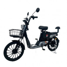 Велосипед з електромотором SPARK RIDER PRO 14" 48V/650W/20Ah Сірий
