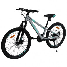 Велосипед SPARK FLEX (колеса - 24", алюмінієва рама - 11")