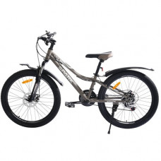 Велосипед SPARK LINK (колеса - 24 , сталева рама - 11 ) сірий