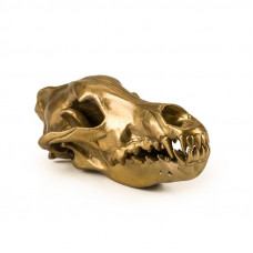Фігура вовчий череп -Diesel-wolf skull-#039; 14 x 28 х 12 см