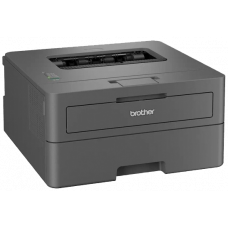 Принтер Brother HLL2402DYJ1 (7216391)