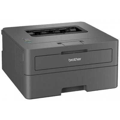 Принтер Brother HLL2402DYJ1 (7216391)