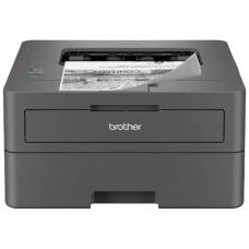 Принтер Brother HLL2402DYJ1 (7216391)