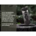 Портативна еспресо-кавоварка Wacaco Nanopresso Grey