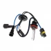 Комплект ксенонового світла QLine Max Light H11 4300К