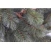 Гірлянда 2,7 м. Forest frosted зелена