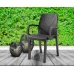 Стілець садовий пластиковий BICA Verona armchair, графіт